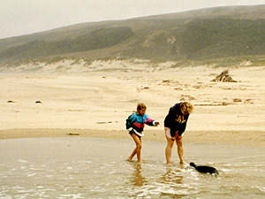 otter approaching humans near Pescadero California