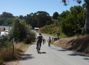 Bikers at China Camp Sate Park