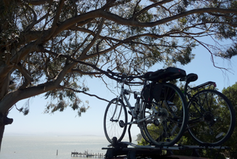 Bikes at China Camp State Park