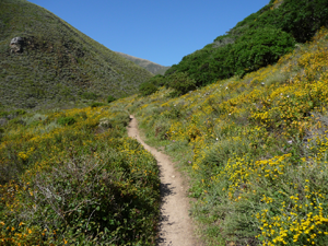 Garrapata State Park inland trail