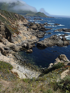 Tidepools at Garrapata State Park