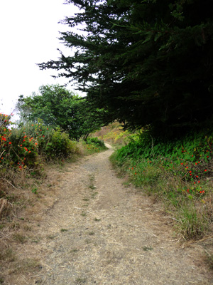 Greenwood State Beach view