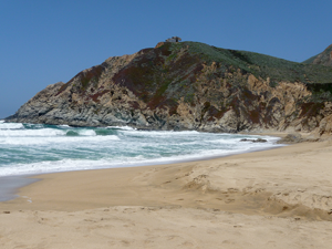 Gray Whale Cove State Park beach