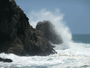 Waves and Gray Whale Cove State Beach