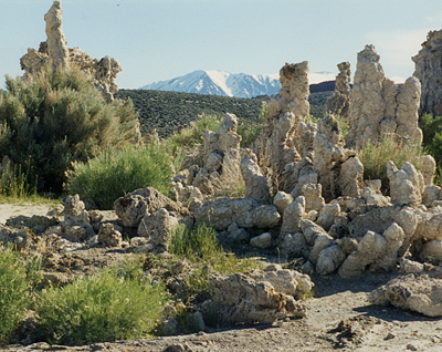 Tufa at Mono Lake Tufa State Natural Reserve