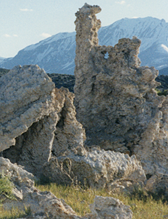 Tufa at Mono Lake Tufa State Natural Reserve