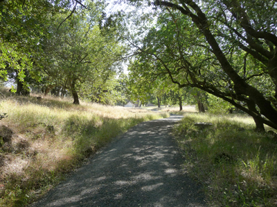 Olompali State Historic Park trail