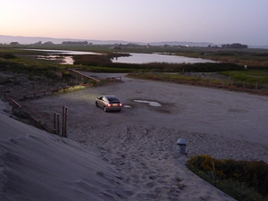 Zmudowski State Beach includes a variety of habitats